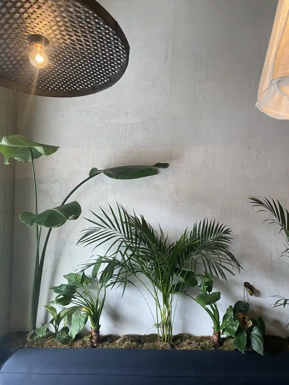 Interior decorative plaster wall with natural texture and modern lighting